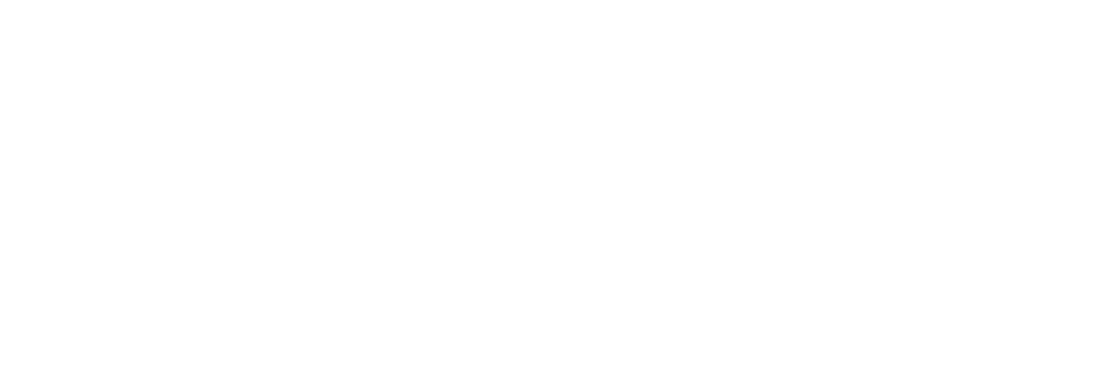 Renault Selection - Smart-Pro